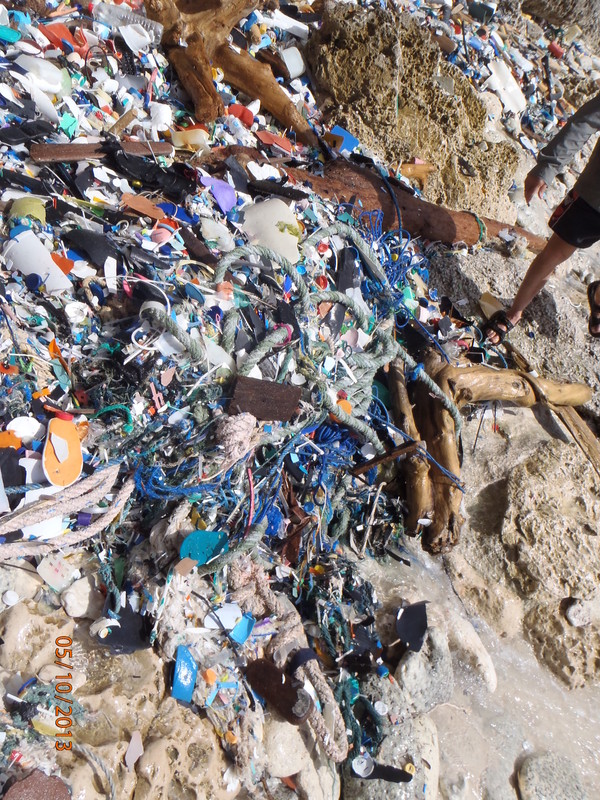 Track and trace: help end plastic waste image